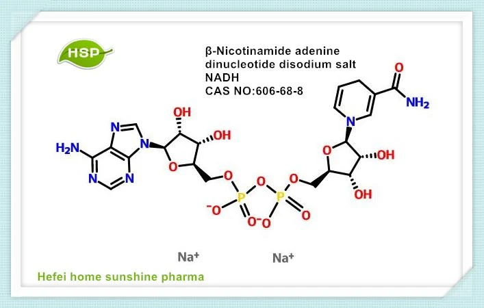 Β-Nicotinamidă Adenină Dinucleotidă Sare disodică NADH CAS 606-68-8
