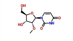 2'-O-metiluridină CAS 2140-76-3
