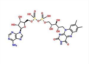 Flavin Adenine Dinucleotid CAS 146-14-5