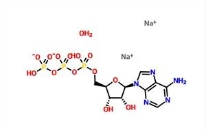 Adenozină 5'-trifosfat Sare disodică Hidrat cas 34369-07-8