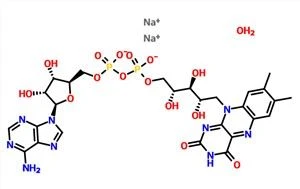 Flavin Adenine Dinucleotide Sare Disodica Hidrat CAS 84366-81-4