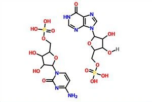 Acid poliinosinic-policitidilic sare de sodiu (Poli IC) (PIC) CAS 24939-03-5