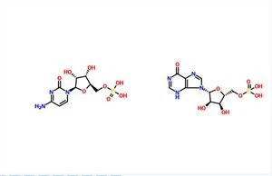 Polyinosinic–polycytidylic acid sodium salt(Poly IC) (PIC) CAS 42424-50-0