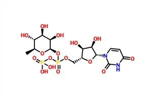 Uridin 5'-(trihidrogendifosfat), P'-(6-deoxi-b-L-mannopiranozil) Ester CAS 1955-26-6