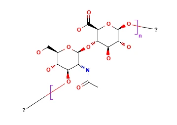 Acid hialuronic CAS 9004-61-9